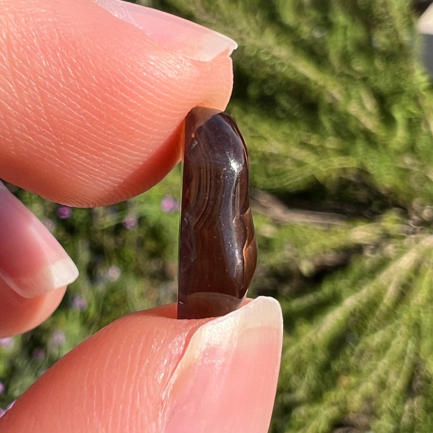 A loose, oval cabochon cut Mexican fire agate stone.  The stone has multi-colored banding with blue overtones.