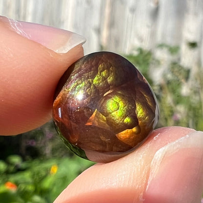 A loose, round Mexican fire agate stone.  The stone shines colors of green, yellow, and orange.