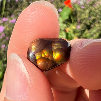 A loose, freefrom cabochon cut Mexican fire agate stone.  The stone has red, green, yellow, and purple banding.