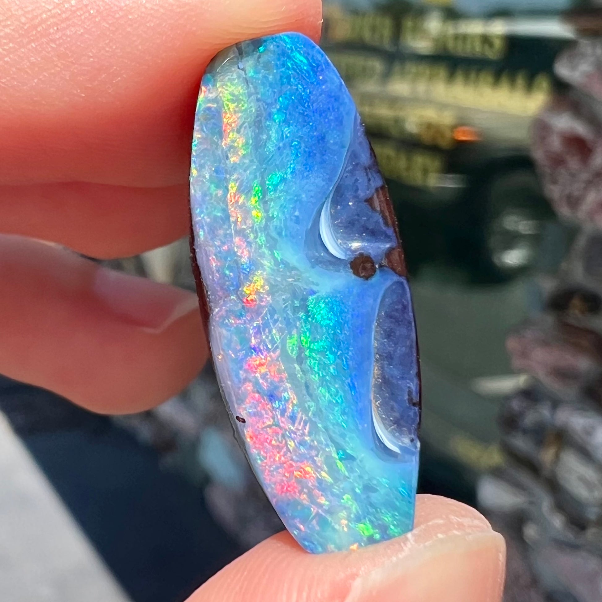 A barrel shaped boulder opal gemstone with a rainbow of colors.