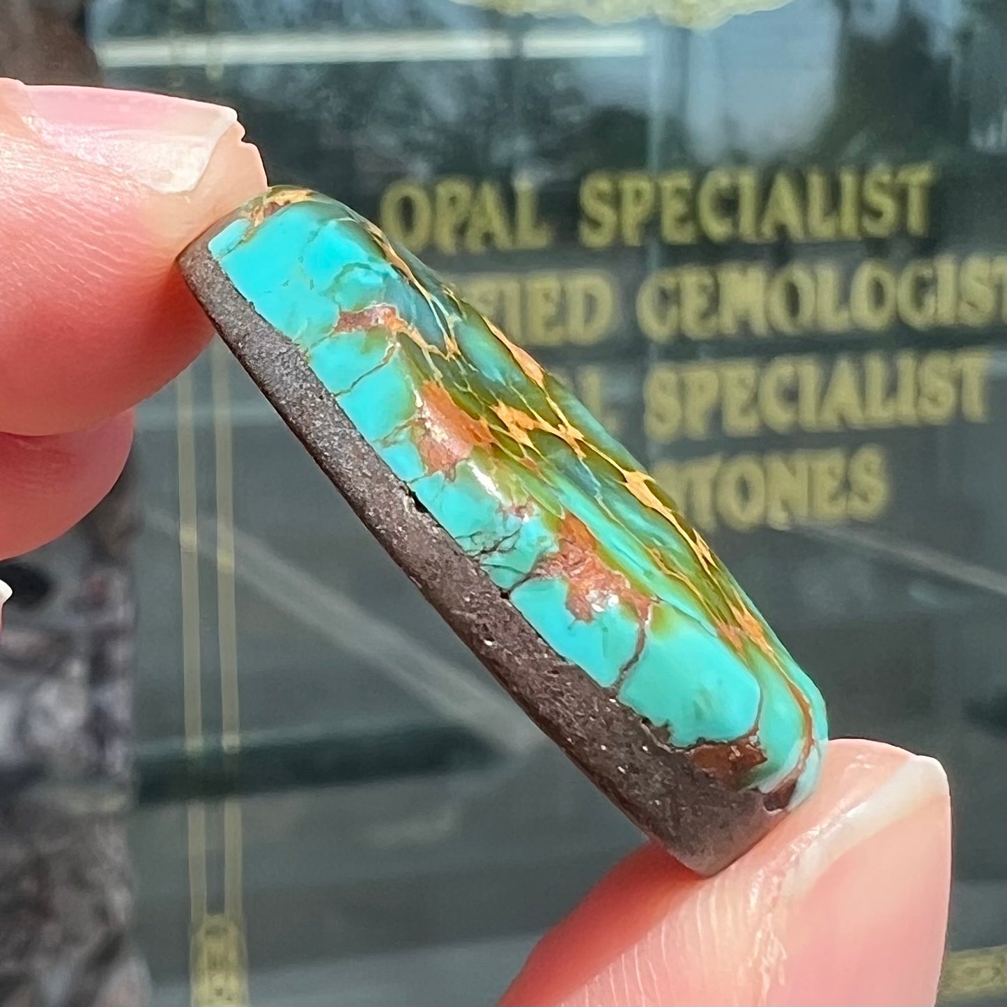 A polished golden spiderweb turquoise cabochon from Manassa, Colorado.