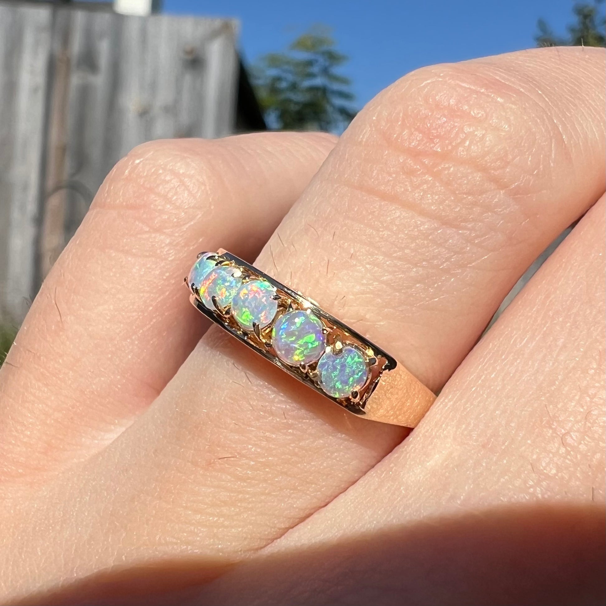 An 18 karat yellow gold line-style filigree ring mounted with five round, cabochon cut Australian crystal opals.