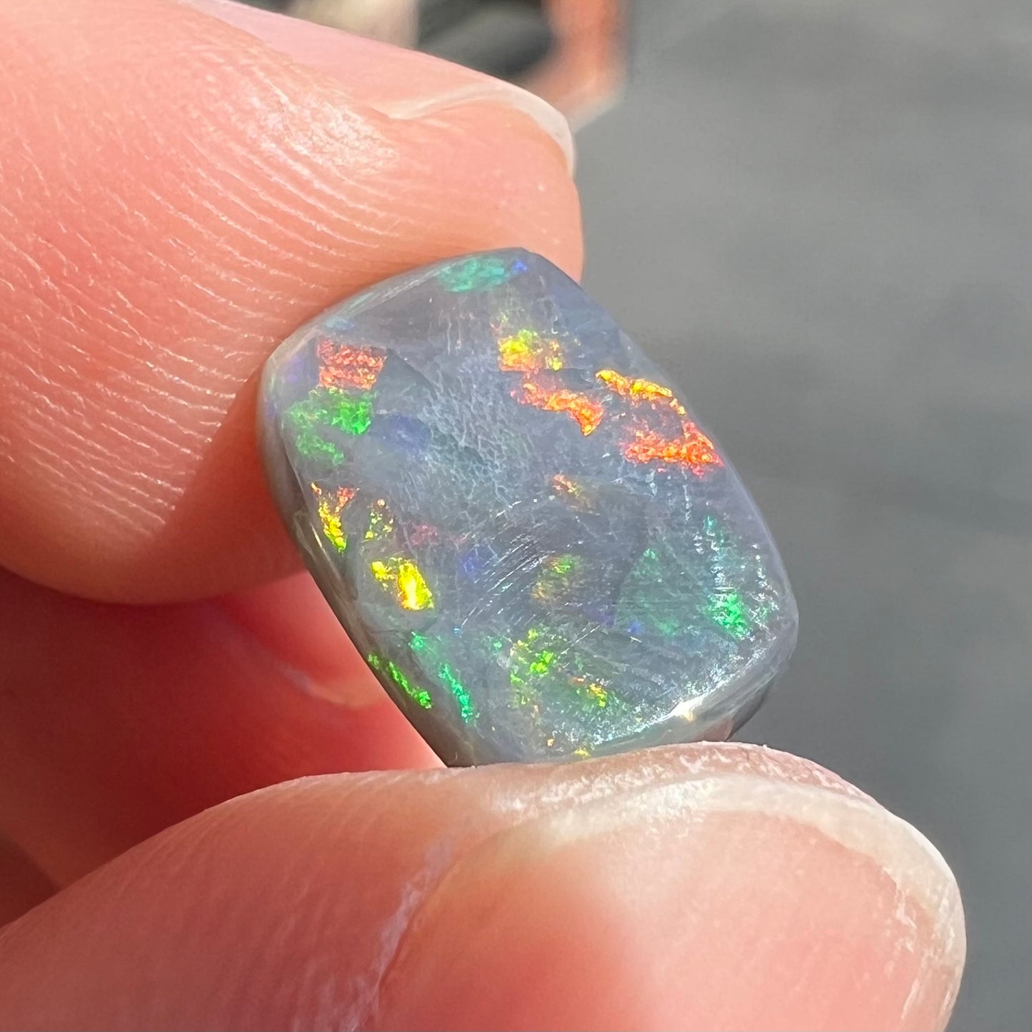 A loose, cushion cut black opal stone.  The stone plays colors of red, green, blue, and purple.