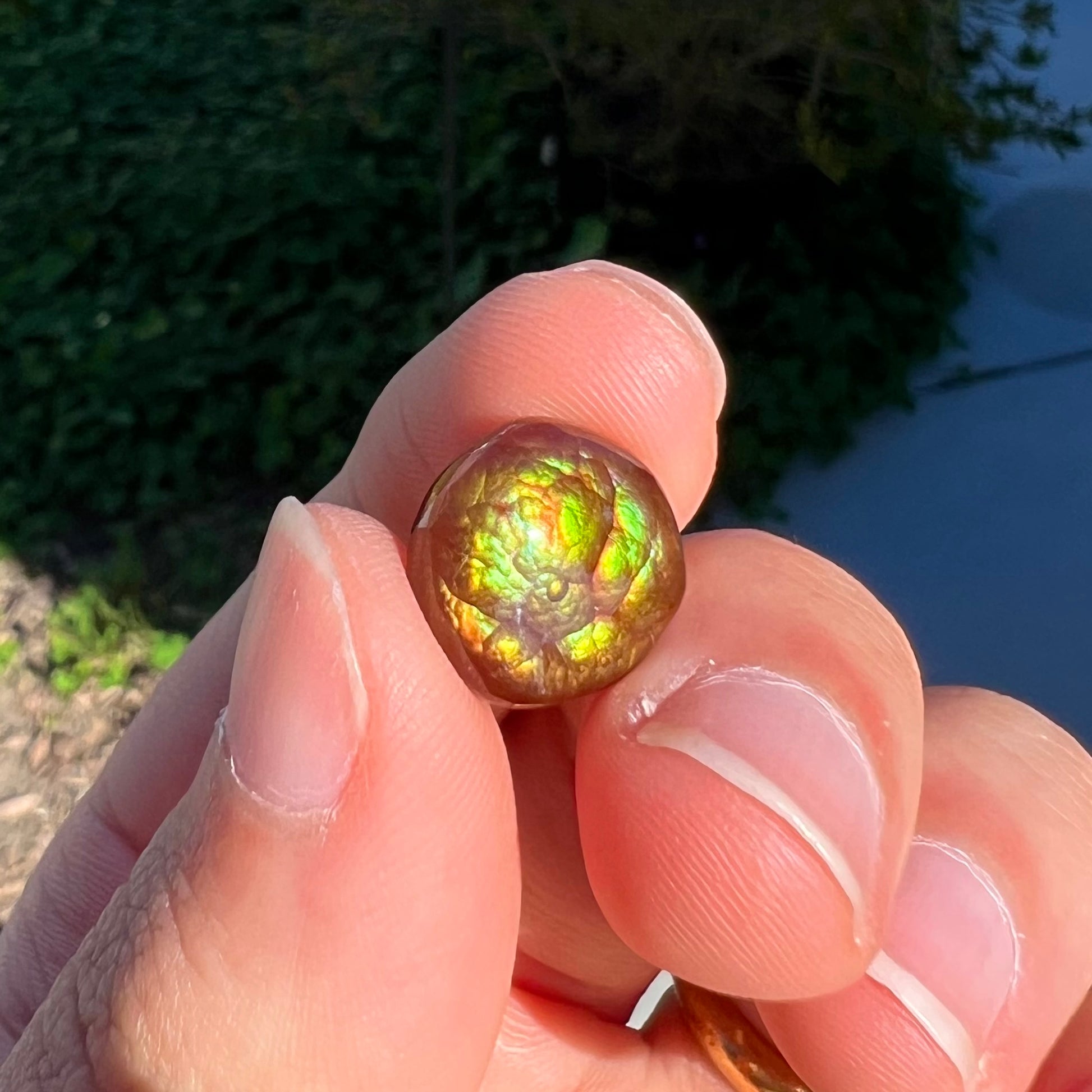 An iridescent green, yellow, and red Mexican fire agate stone.  The stone is an off-round cabochon.