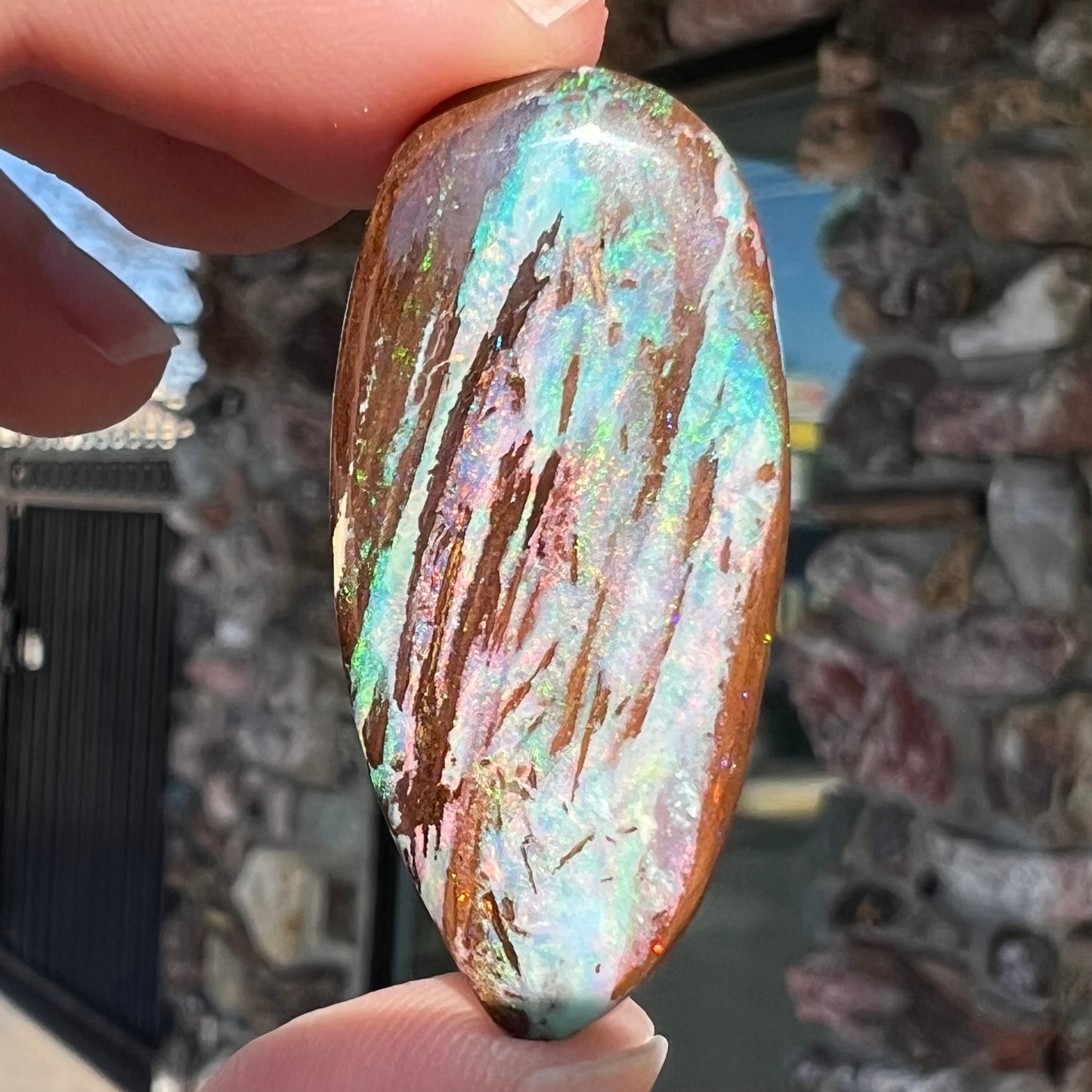 26.14ct Duck Creek Opalized Wood | #E189