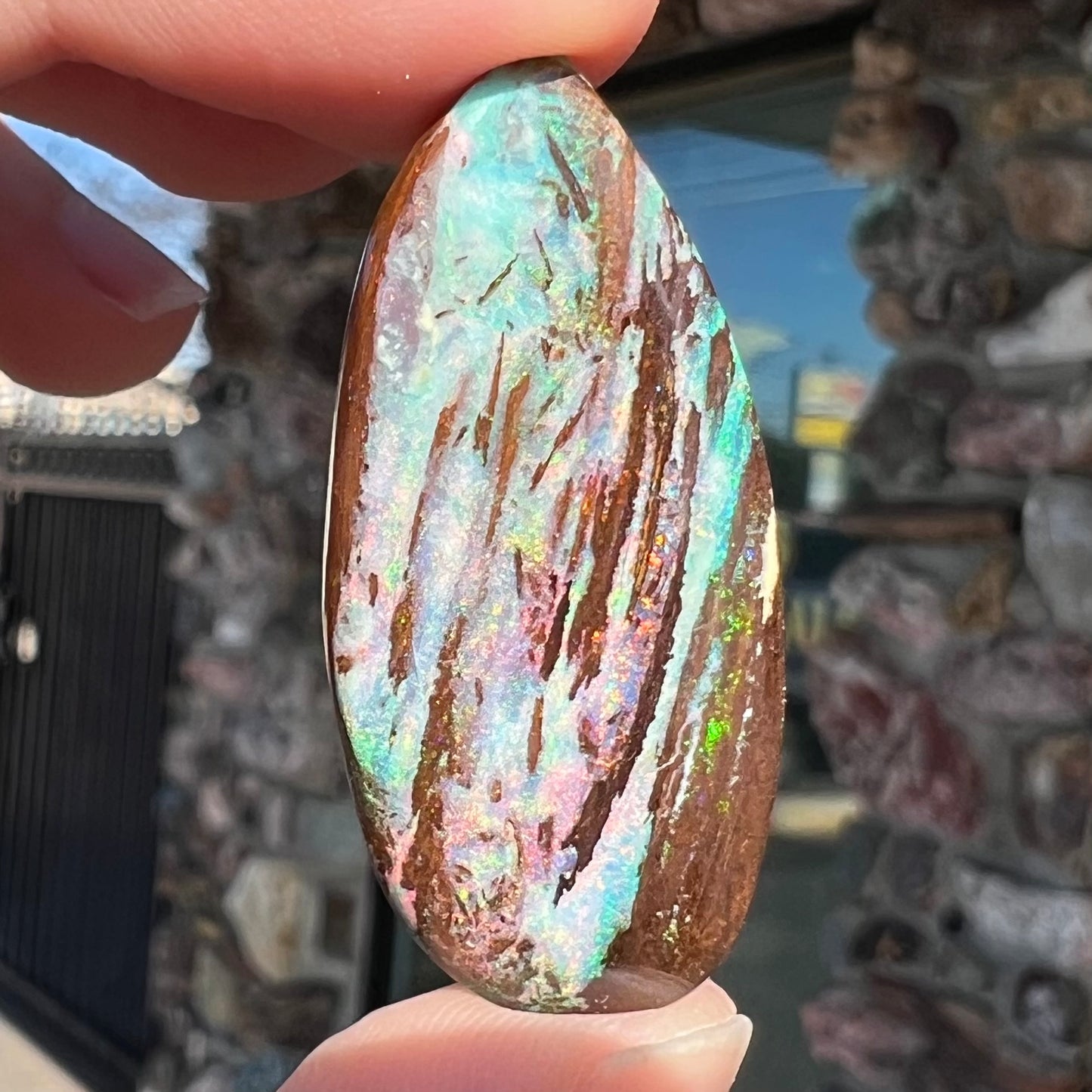 26.14ct Duck Creek Opalized Wood | #E189