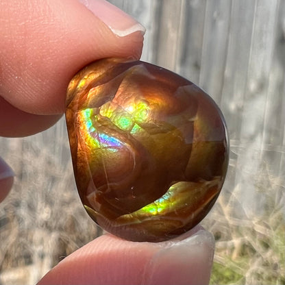 A large, round freeform shaped Mexican fire agate stone.  The stone has green, orange, purple, and blue iridescence.