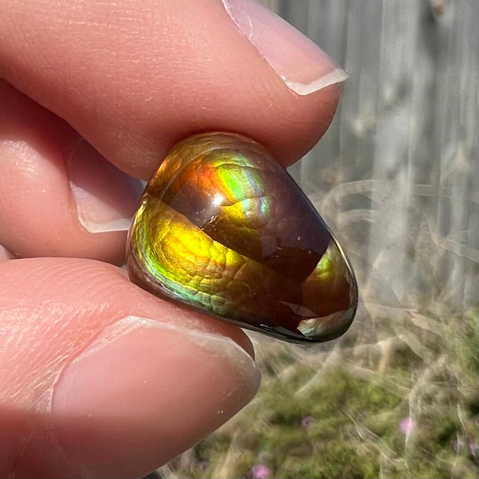 A freeform shaped fire agate cabochon with green and red iridescence.