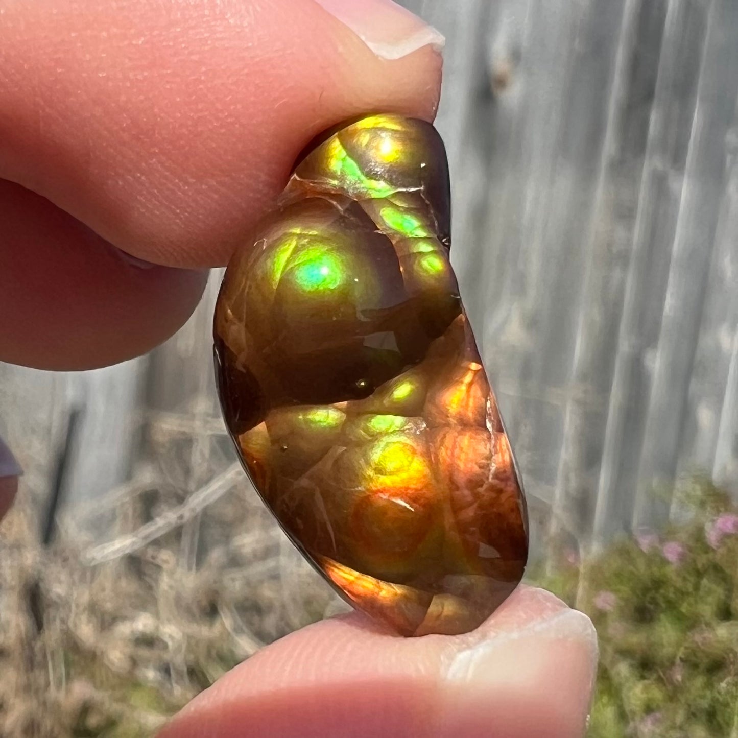 A loose, freeform shaped fire agate stone.  The fire agate has red, orange, and yellow colors on one side, and the other has green and blue colors.