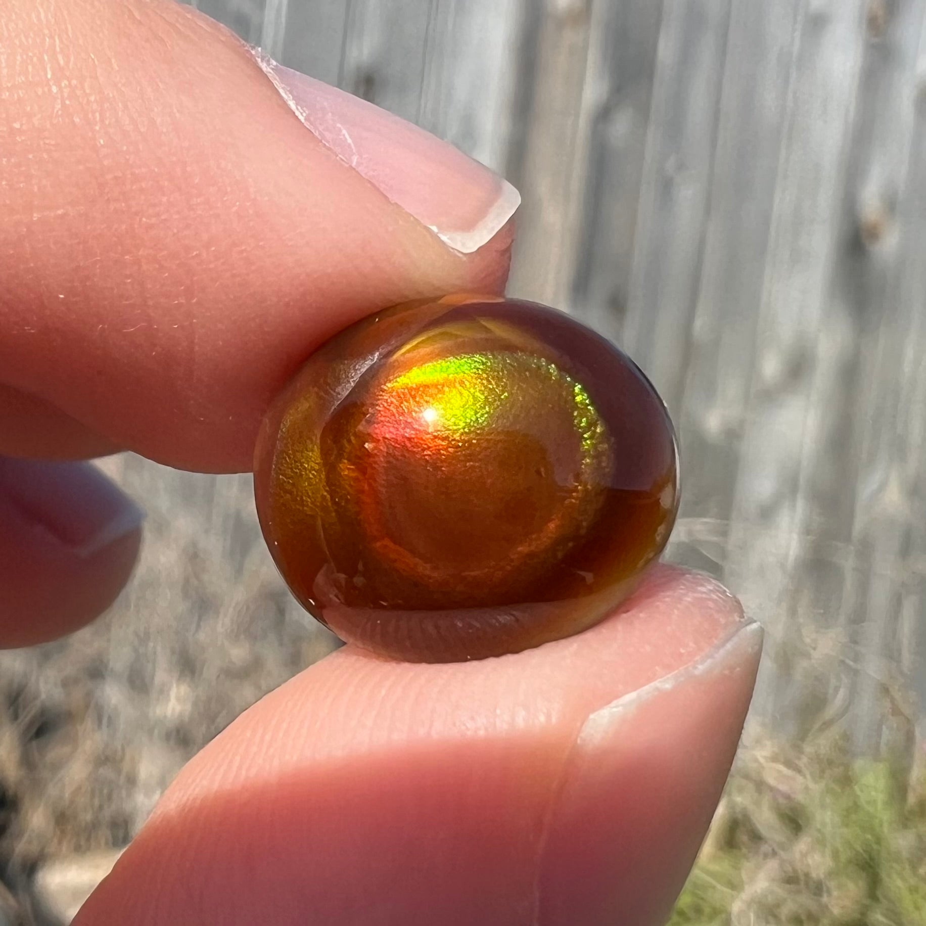 A loose, oval cabochon cut fire agate stone that has red and green colored iridescence.