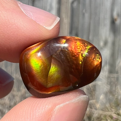 A loose fire agate cabochon.  The stne shows green and orange iridescence on a brown body tone.