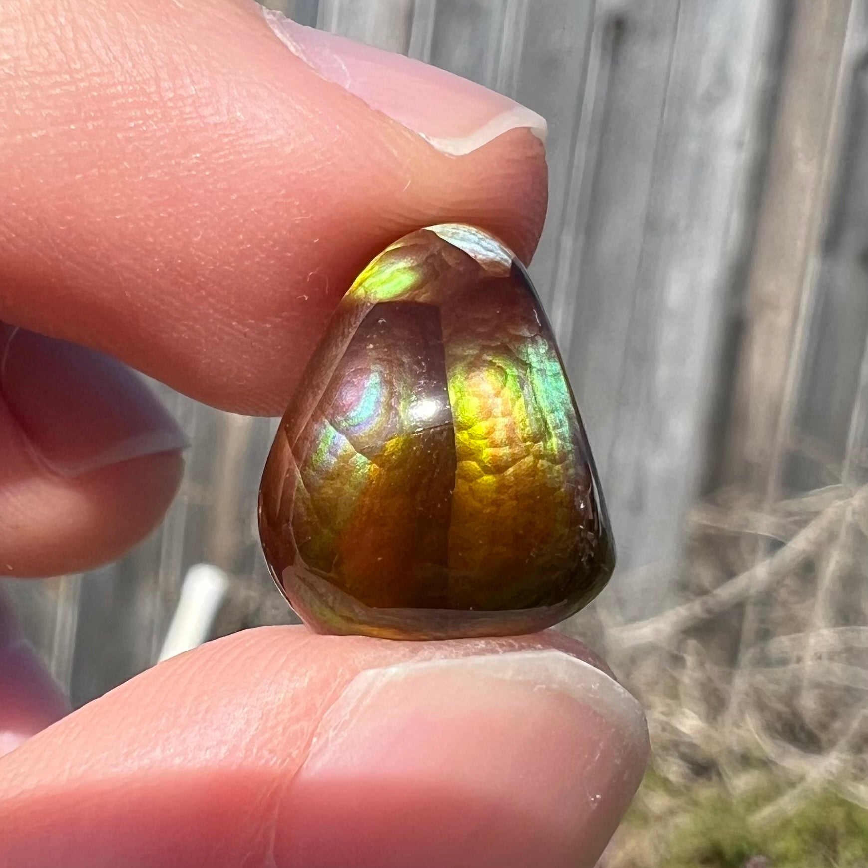 A freeform shaped fire agate cabochon with green and red iridescence.