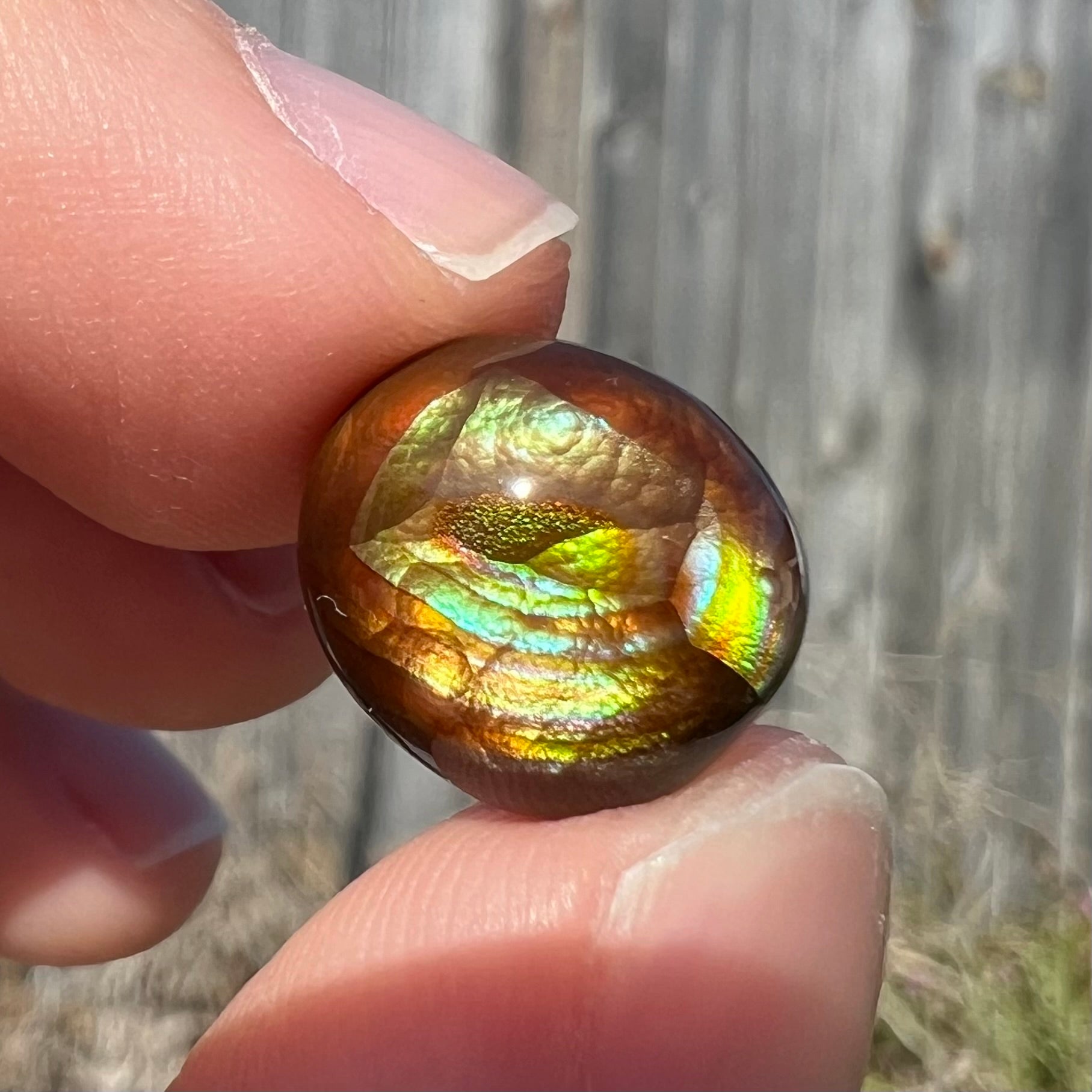 A loose, green, blue, and orange banded fire agate cabochon.