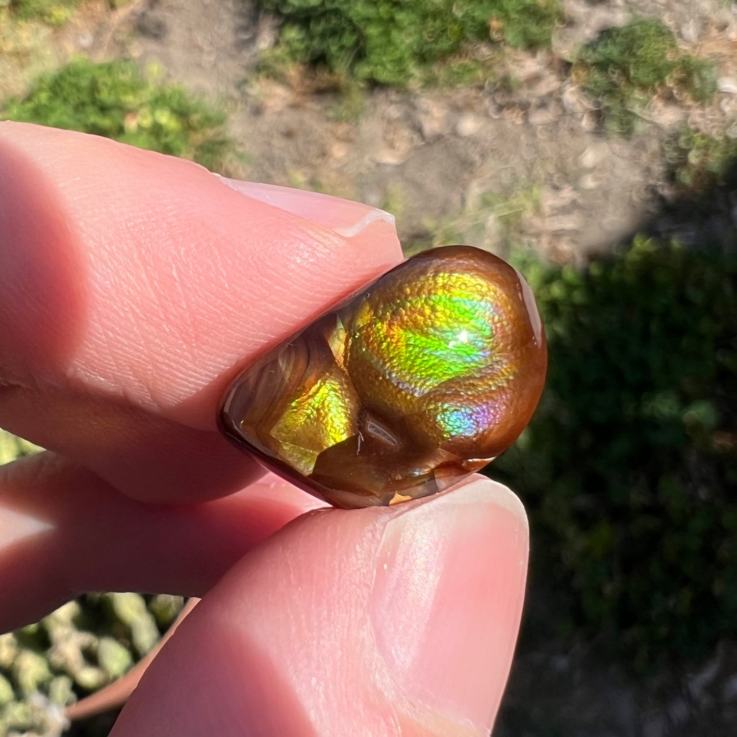 A brightly reflective Mexican fire agate cabochon.  The stone has a strong green iridescence.