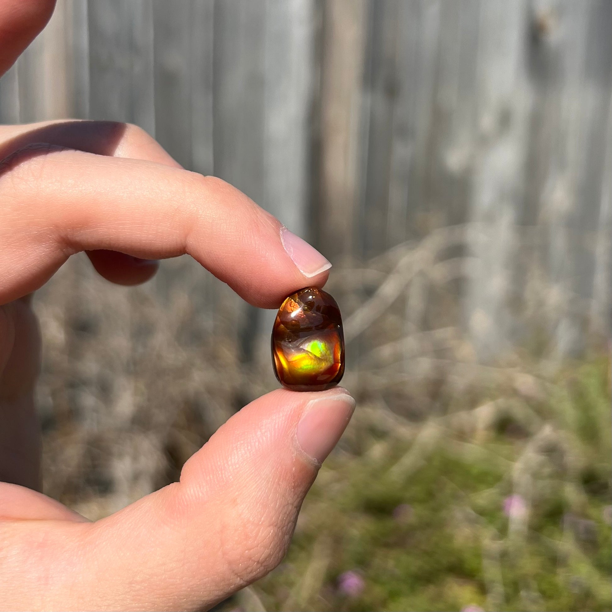 A loose fire agate cabochon.  The stne shows green and orange iridescence on a brown body tone.