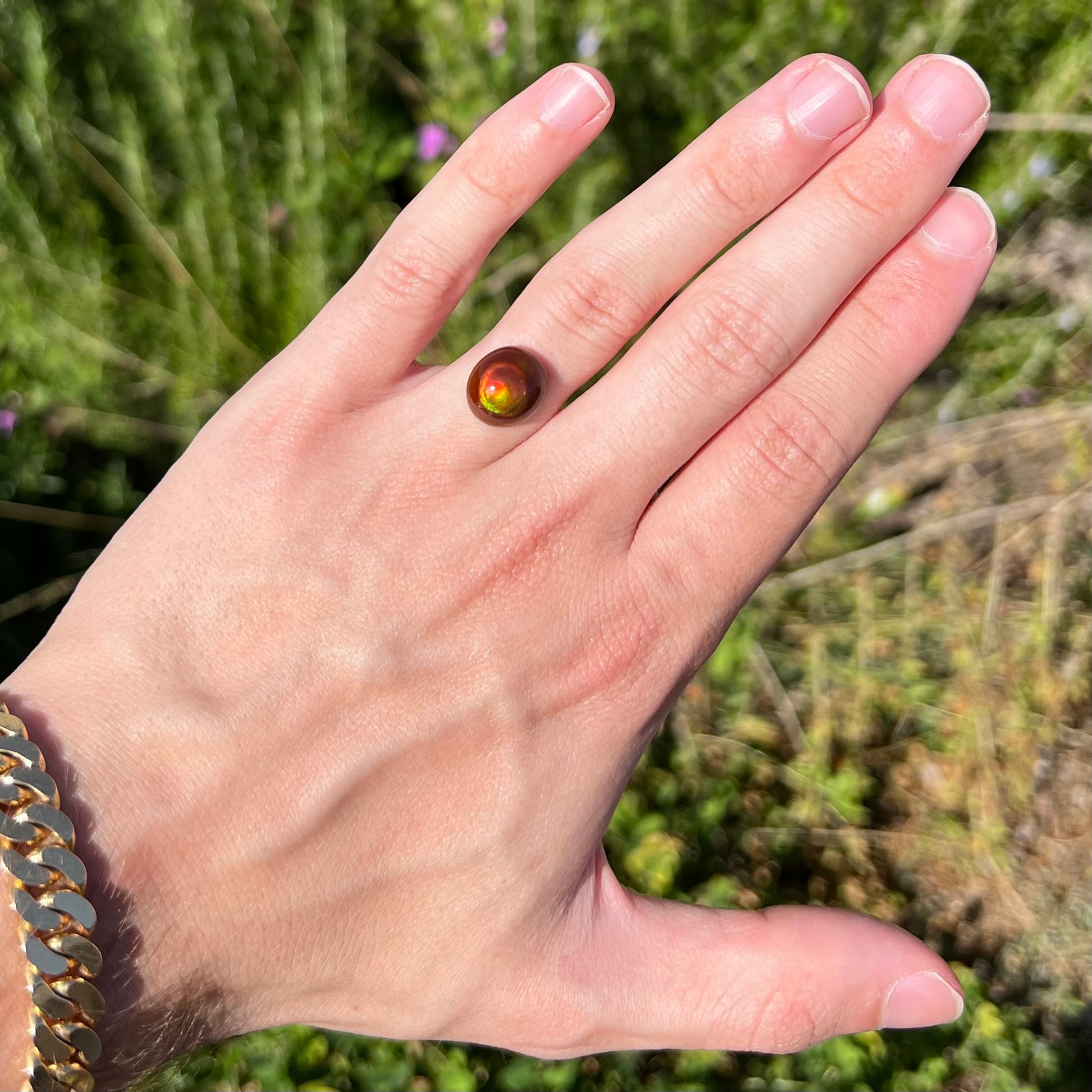 A loose, oval cabochon cut fire agate stone that has red and green colored iridescence.