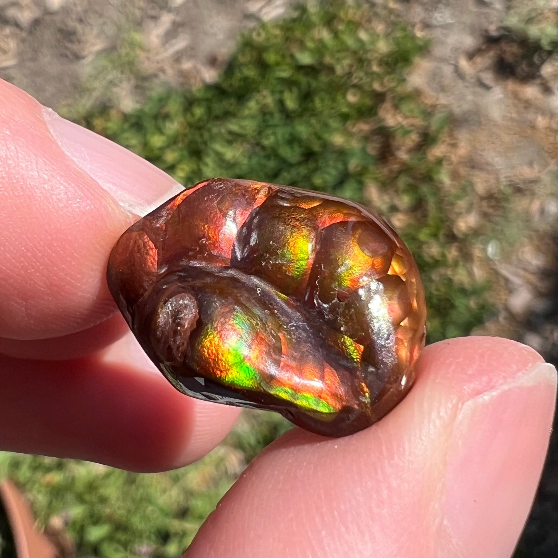 A large Mexican fire agate gemstone.  The stone is red with green iridescence and a waxy luster.