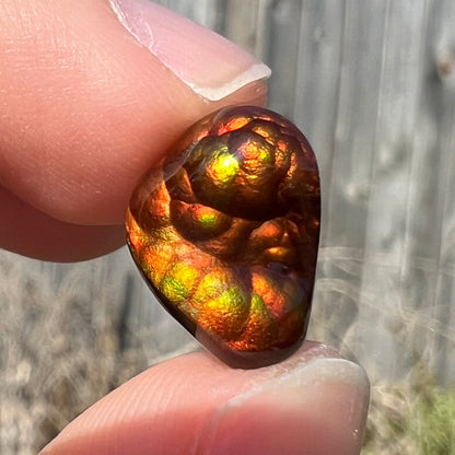 A loose, freeform fire agate gemstone.  The stone is red with green and orange banding.