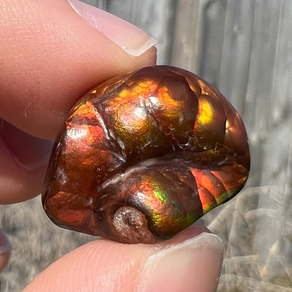 A large Mexican fire agate gemstone.  The stone is red with green iridescence and a waxy luster.