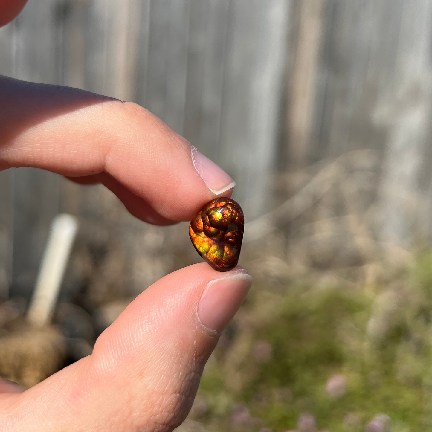 A loose, freeform fire agate gemstone.  The stone is red with green and orange banding.