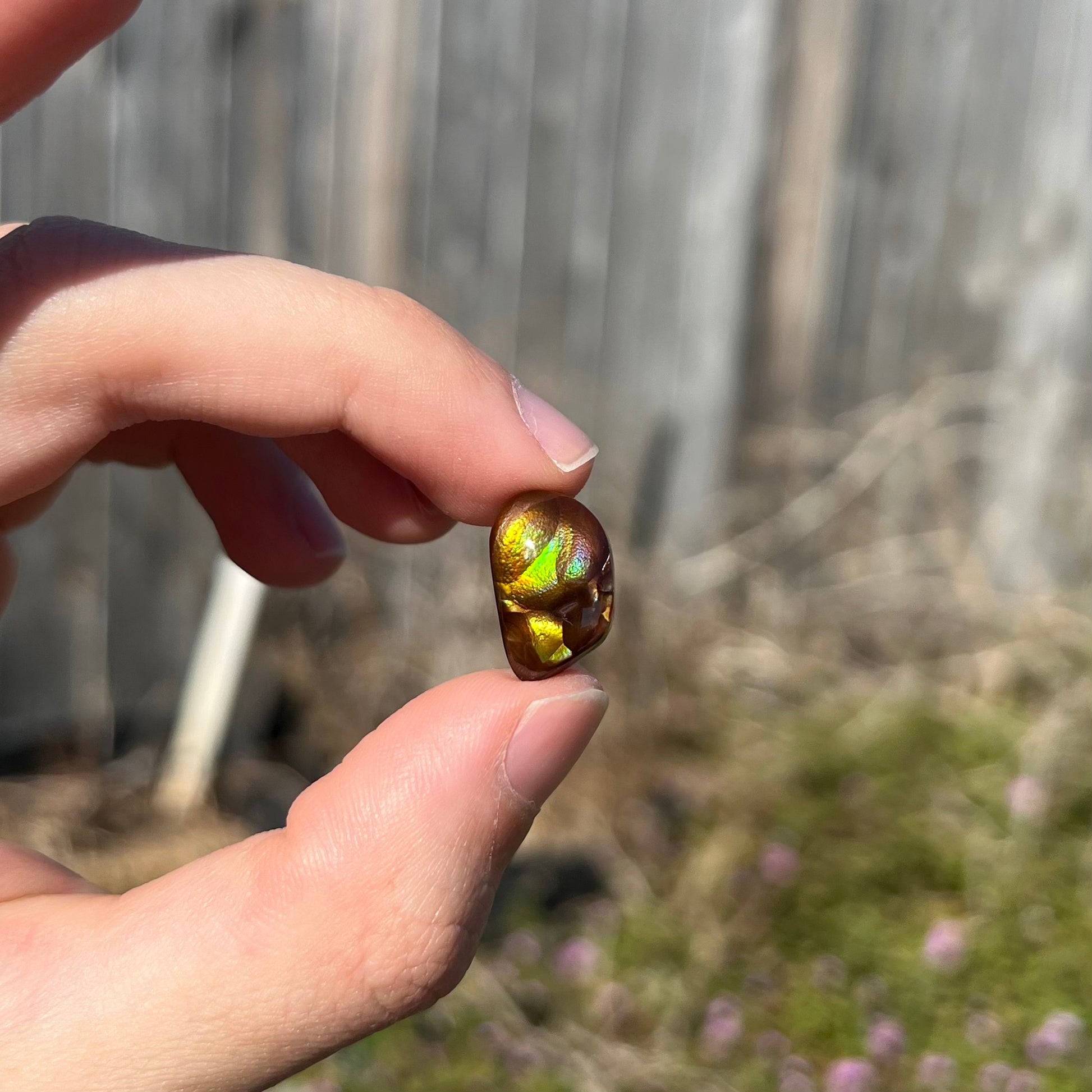 A brightly reflective Mexican fire agate cabochon.  The stone has a strong green iridescence.