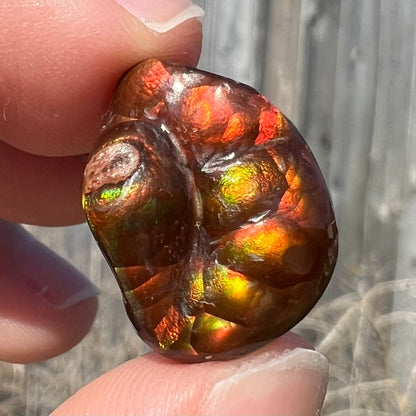 A large Mexican fire agate gemstone.  The stone is red with green iridescence and a waxy luster.