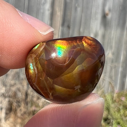 A large, round freeform shaped Mexican fire agate stone.  The stone has green, orange, purple, and blue iridescence.