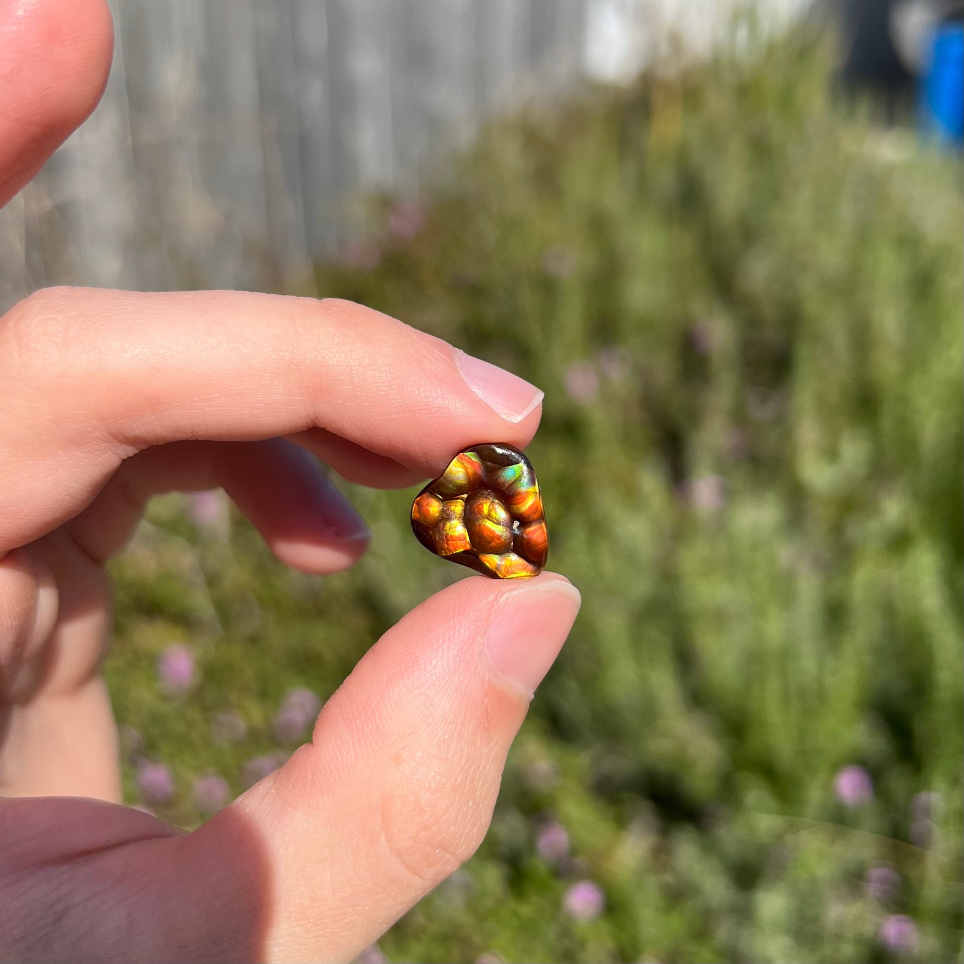 A freeform shaped Mexican fire agate stone.  The stone is red with yellow banding.