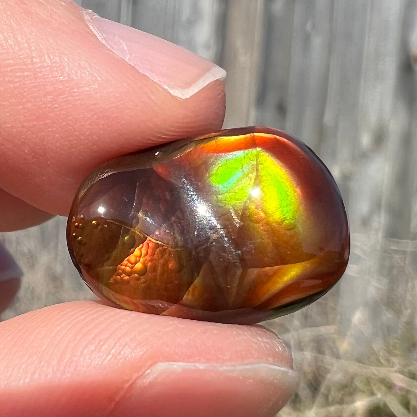 A loose fire agate cabochon.  The stne shows green and orange iridescence on a brown body tone.