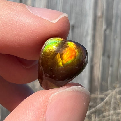 A freeform shaped fire agate cabochon with green and red iridescence.