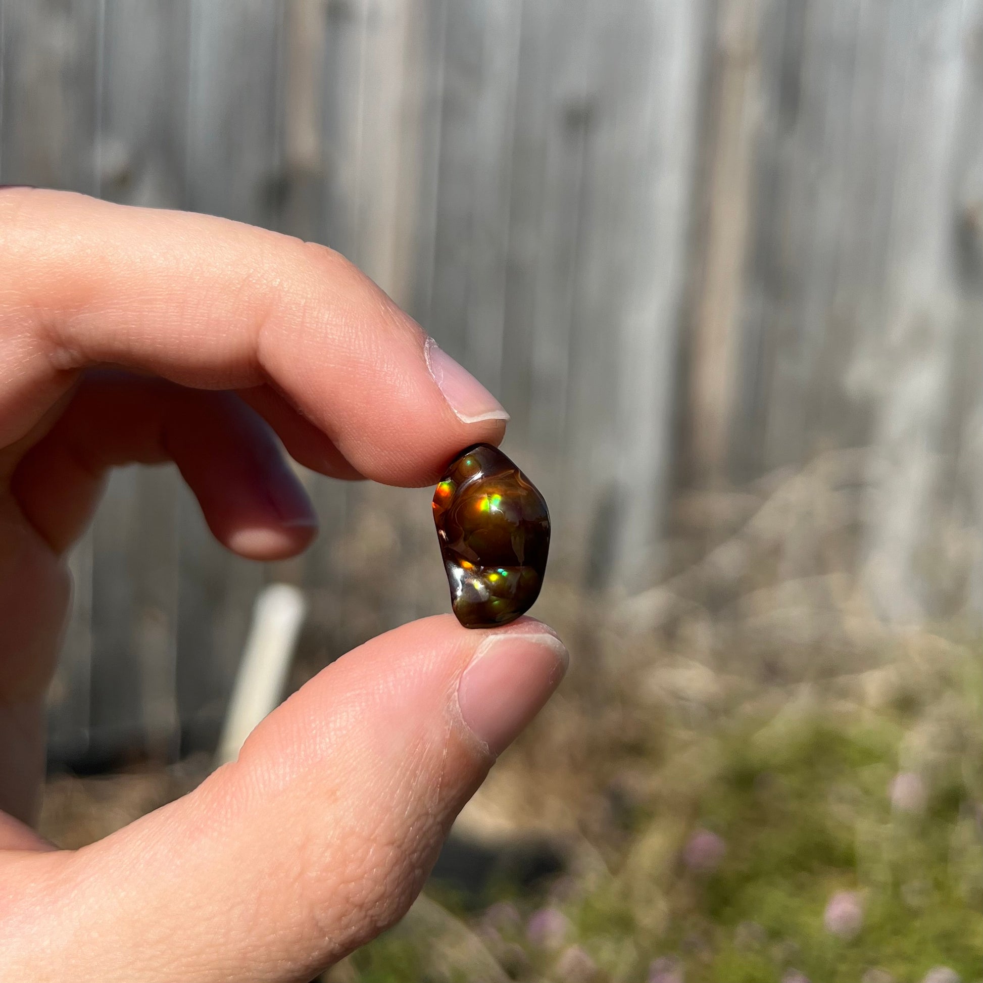 A loose fire agate stone.  The stone has a rainbow of metallic iridescence.