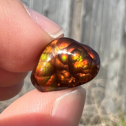 A loose, freeform fire agate gemstone.  The stone is red with green and orange iridescence.