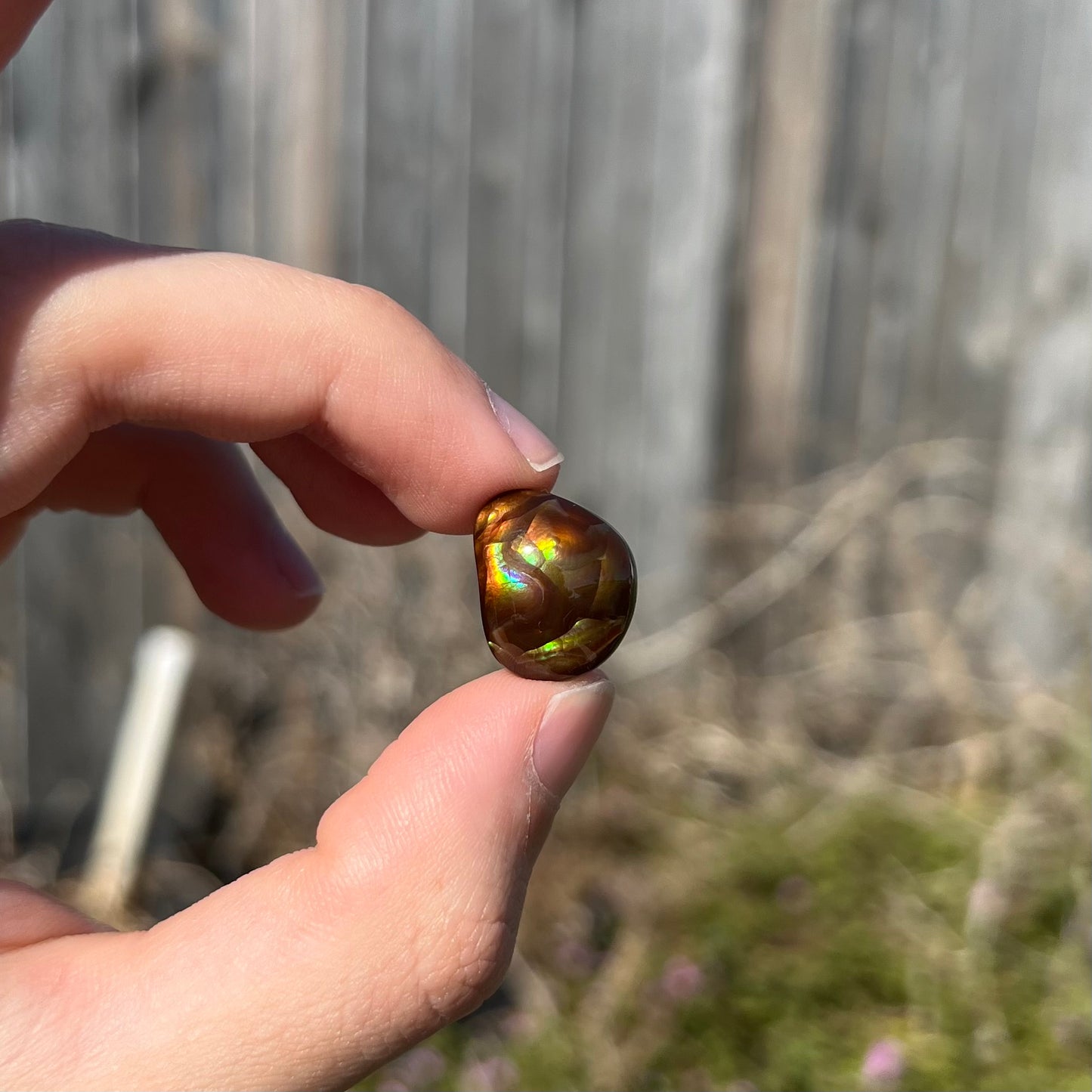 A large, round freeform shaped Mexican fire agate stone.  The stone has green, orange, purple, and blue iridescence.