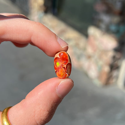 A loose Mexican matrix fire opal stone.  The opal is orange with green flashes.