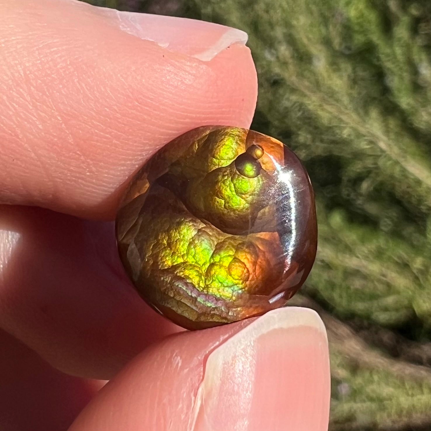 A loose, round cabochon cut fire agate stone.  The gem is green with orange, red, blue, and a purple stripe.