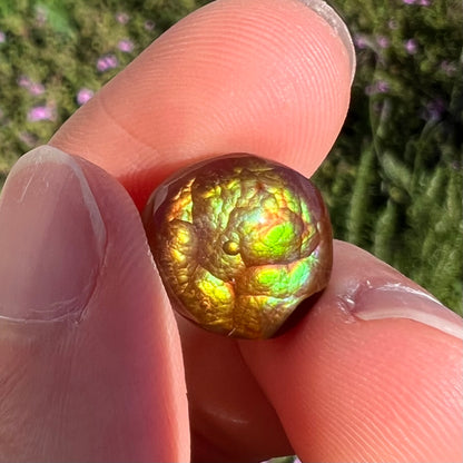 An iridescent green, yellow, and red Mexican fire agate stone.  The stone is an off-round cabochon.