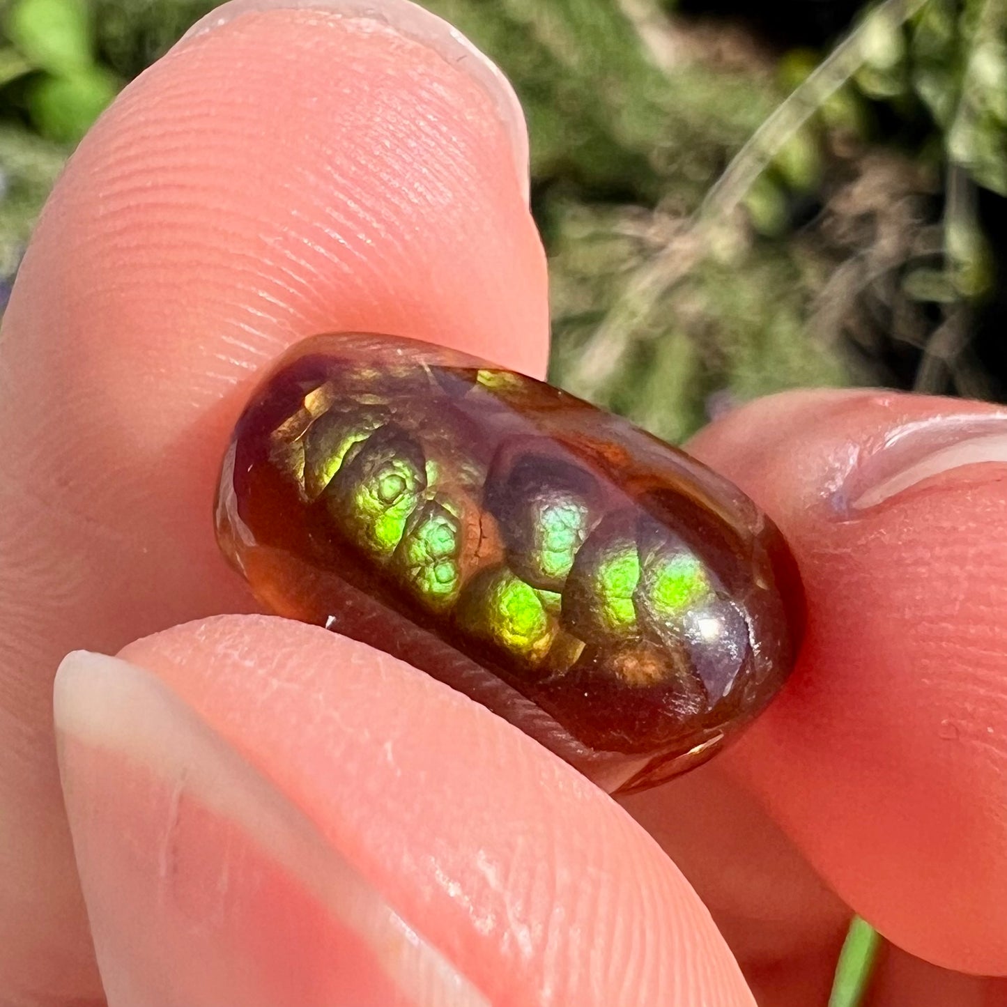 A loose, cabochon cut Mexican fire agate stone.  The stone's colors are predominantly bright green and blue.