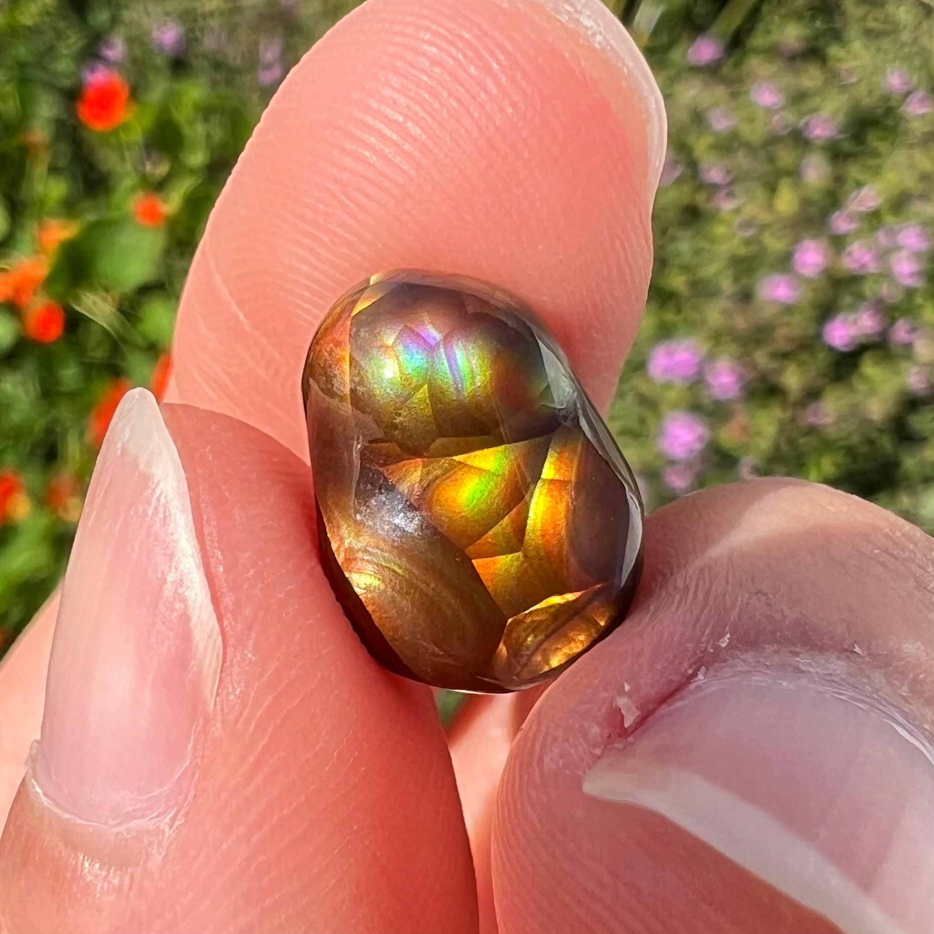 A loose, freefrom cabochon cut Mexican fire agate stone.  The stone has red, green, yellow, and purple banding.