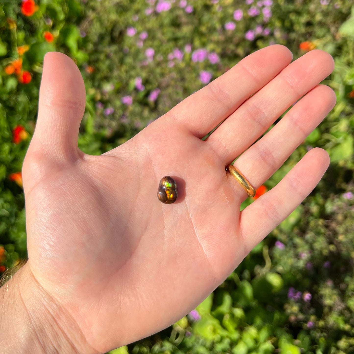 A loose, freefrom cabochon cut Mexican fire agate stone.  The stone has red, green, yellow, and purple banding.