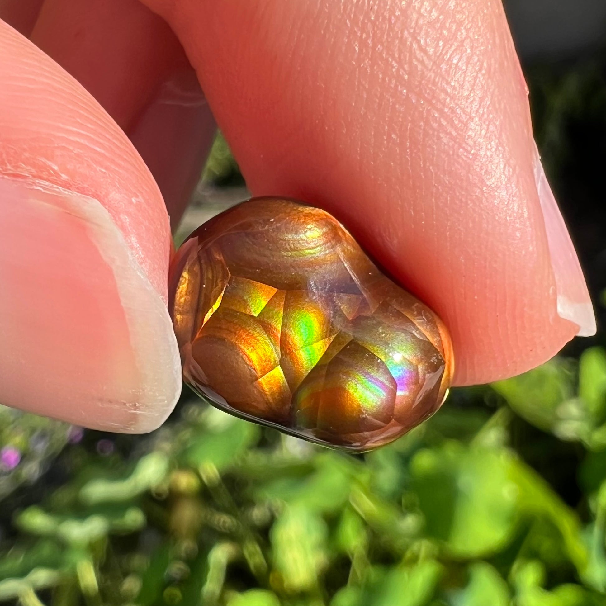 A freeform Mexican fire agate cabochon.  The stone shines with bands of green, red, orange, blue, and purple.