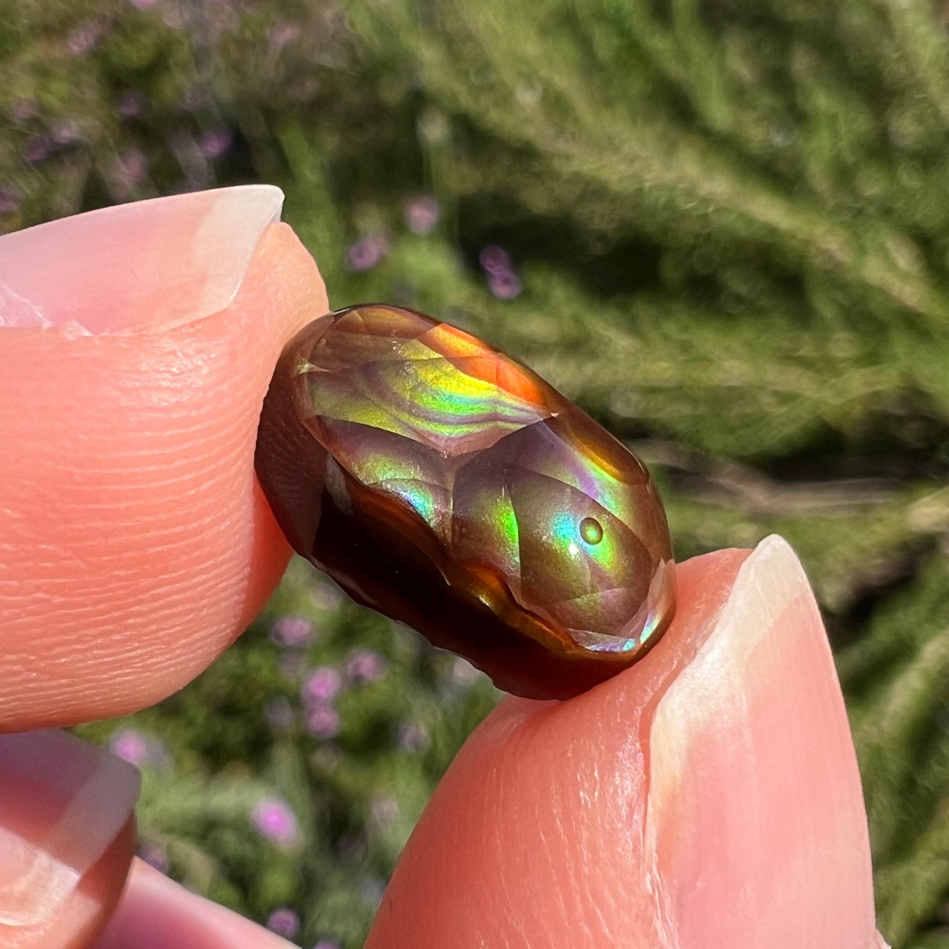 A loose, oval cabochon cut Mexican fire agate stone.  The stone has multi-colored banding with blue overtones.