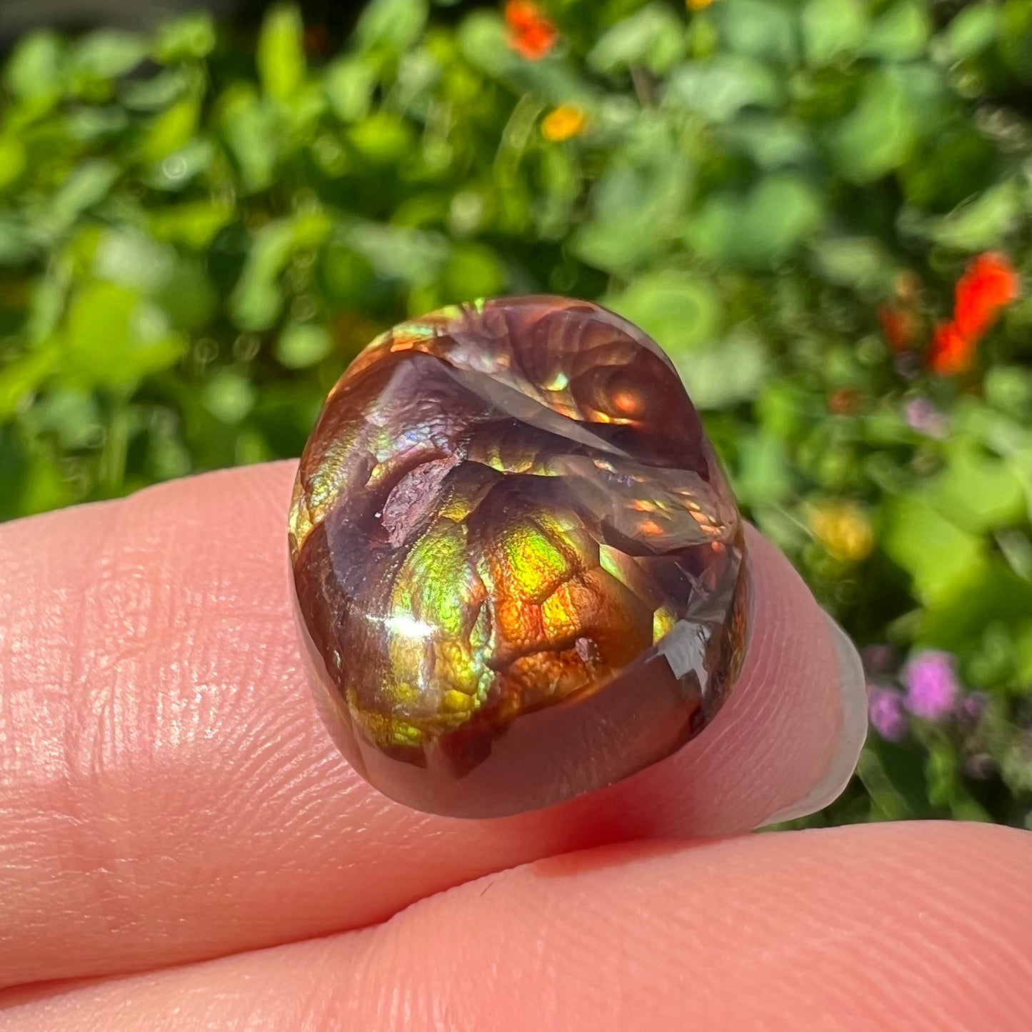 An oval cabochon cut Mexican fire agate stone.  The stone's predominant colors are green, yellow, orange, and blue.