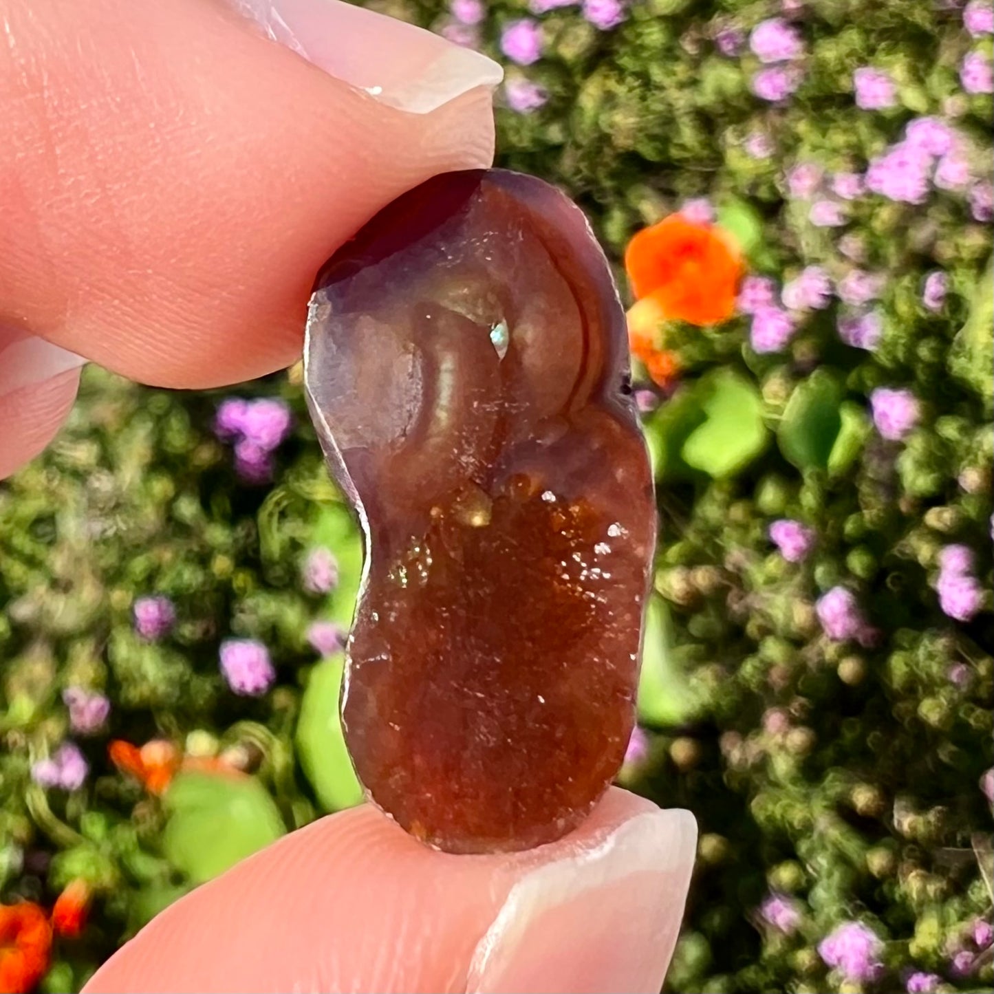 A loose, cabochon cut fire agate gemstone.  The stone resembles a foot with a green heel and yellow toes.