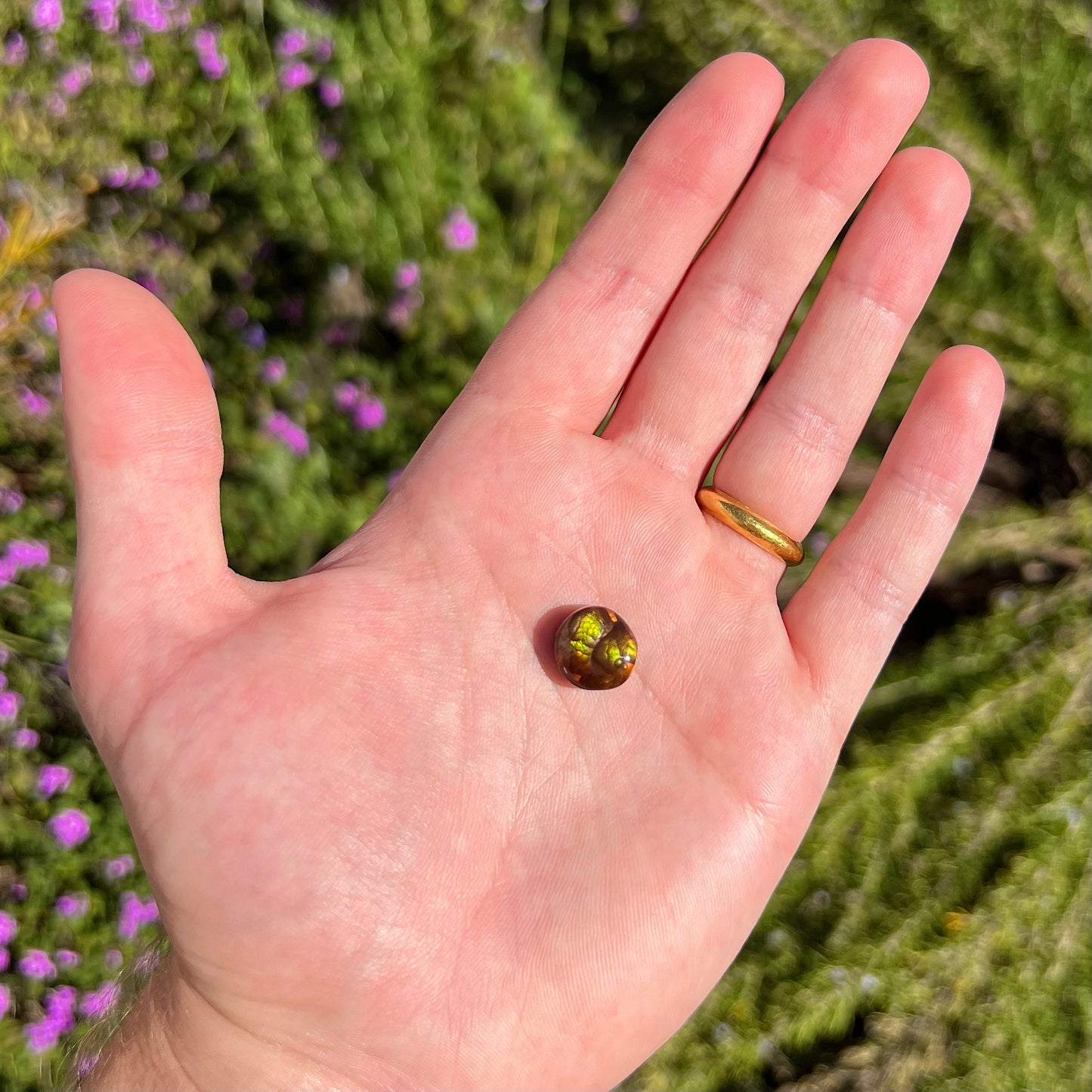 A loose, round cabochon cut fire agate stone.  The gem is green with orange, red, blue, and a purple stripe.