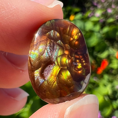 An oval cabochon cut Mexican fire agate stone.  The stone's predominant colors are green, yellow, orange, and blue.