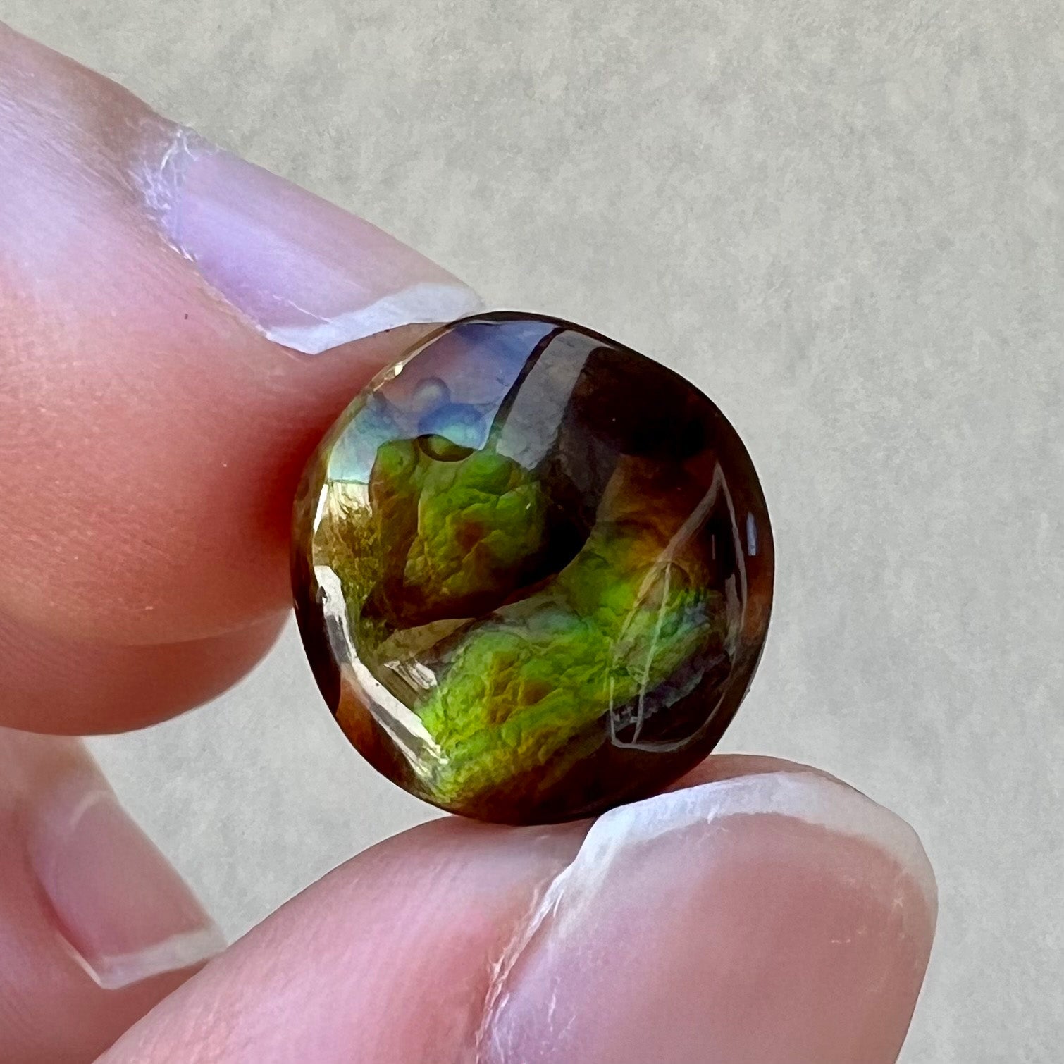 A loose, round cabochon cut fire agate stone.  The gem is green with orange, red, blue, and a purple stripe.