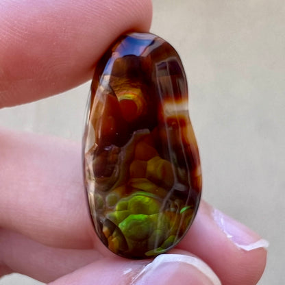 A loose fire agate cabochon.  The stone has iridescent green, yellow, and blue colors.