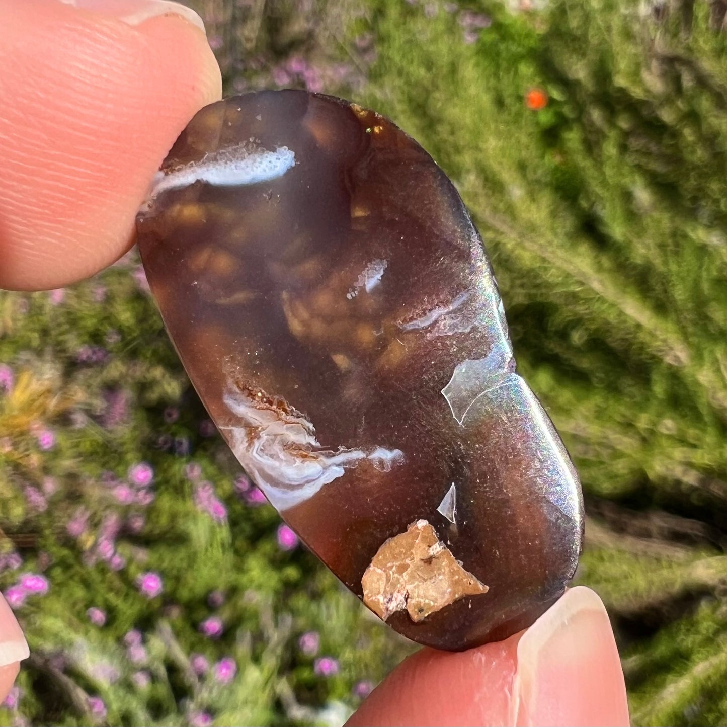 A loose fire agate cabochon.  The stone has iridescent green, yellow, and blue colors.