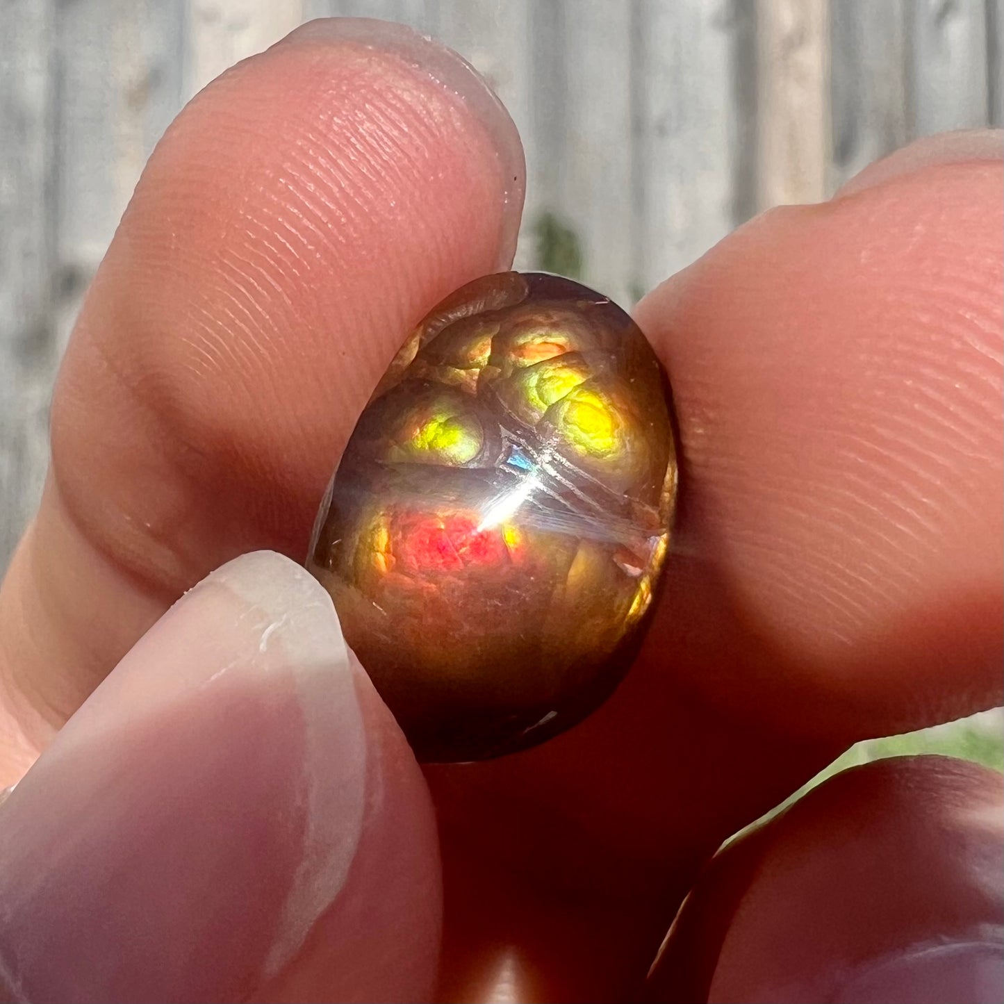 A loose Mexican fire agate cabochon.  The stone has a bright purple and blue iris pattern.