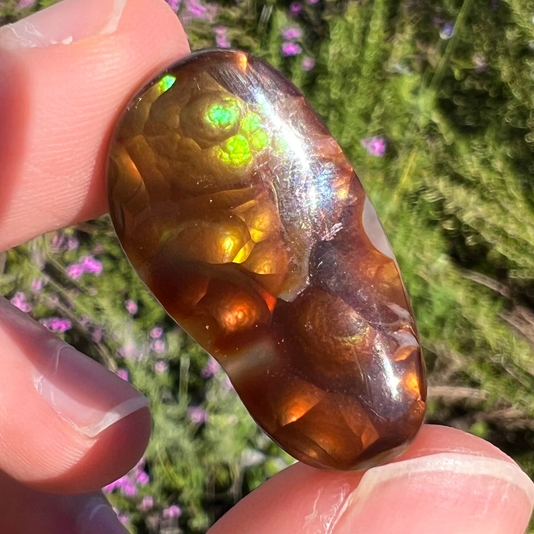 A loose fire agate cabochon.  The stone has iridescent green, yellow, and blue colors.